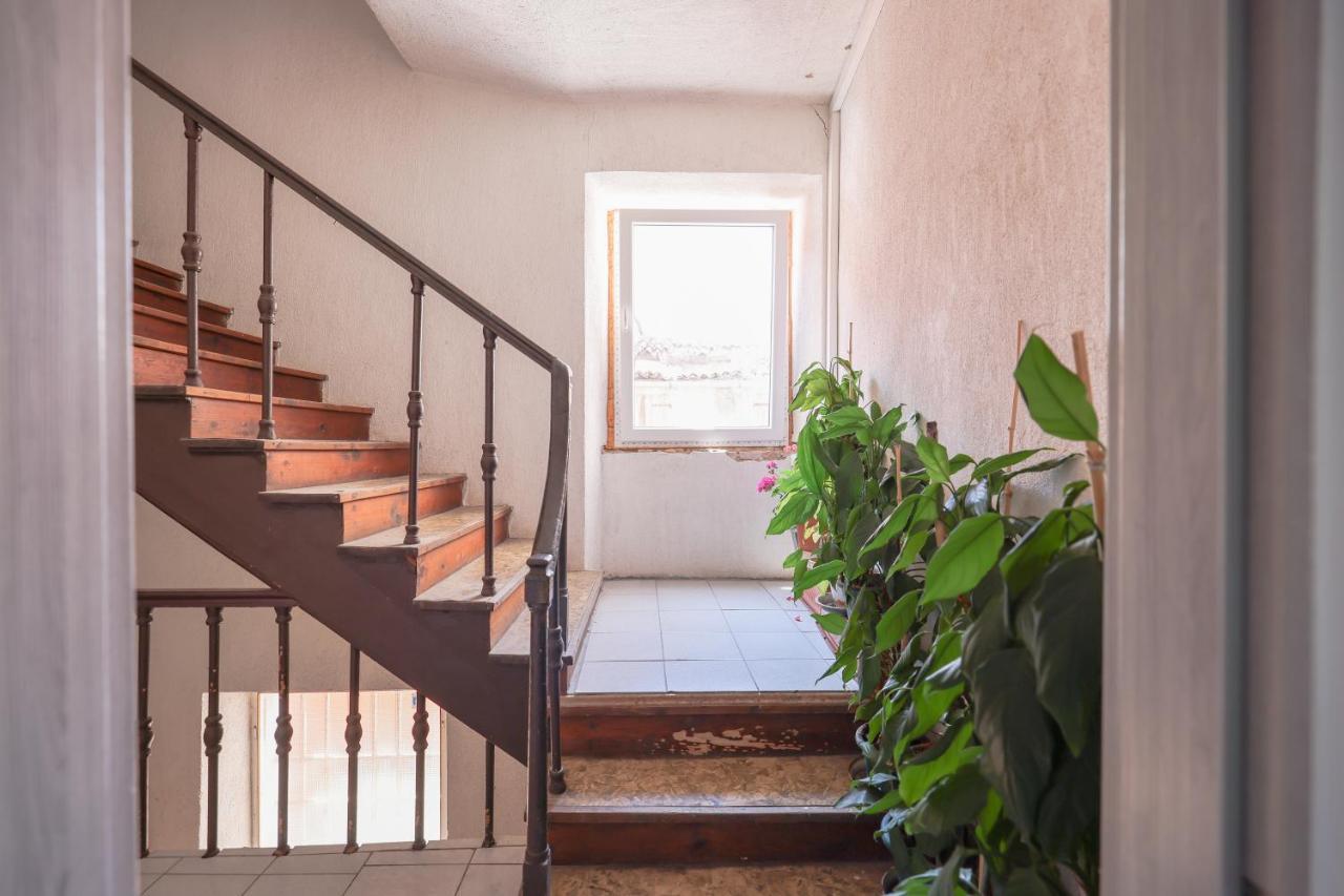 Cozy Studio Cvita Zadar Dış mekan fotoğraf